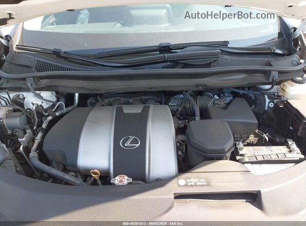 2T2HZMAA7MC202588 2021 LEXUS RX 350 White Հետևի տեսք
