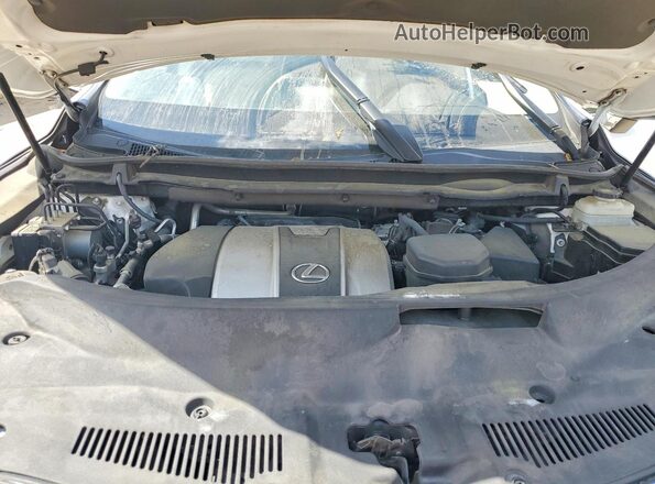 2T2HZMAAXLC161601 2020 LEXUS RX Белый 