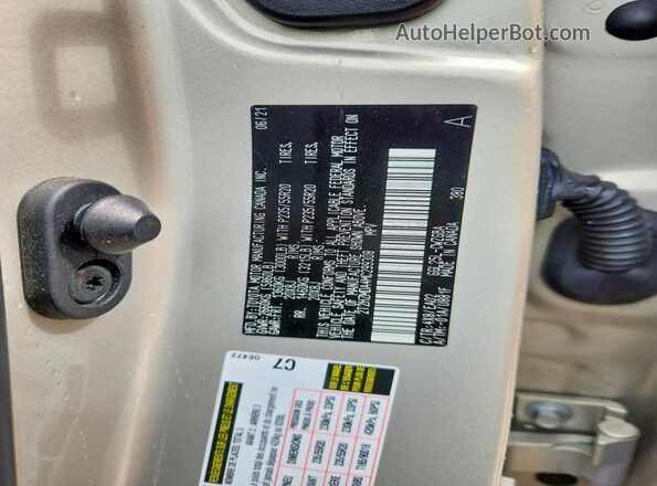 2T2HZMDA4MC299308 2021 LEXUS RX Tan სალონის 360-გრადუსიანი ხედი