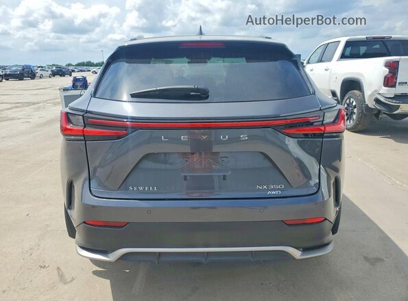 2T2KGCEZ2PC027578 2023 LEXUS NX Charcoal Rear view
