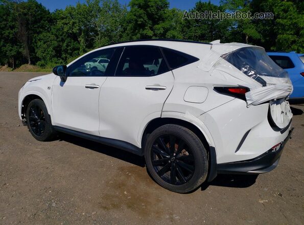 2T2KGCEZ2SC072710 2025 LEXUS NX White Trasero izquierdo