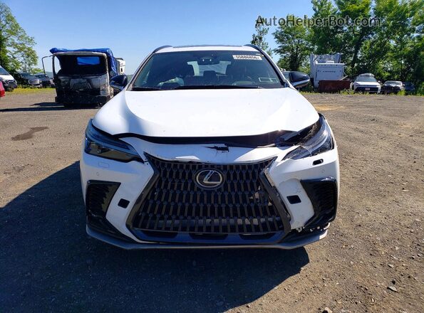 2T2KGCEZ2SC072710 2025 LEXUS NX White Vista frontal