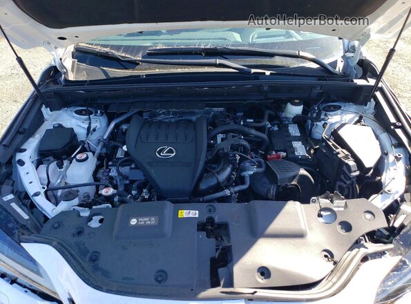 2T2KGCEZ2SC072710 2025 LEXUS NX White Vista interior trasera