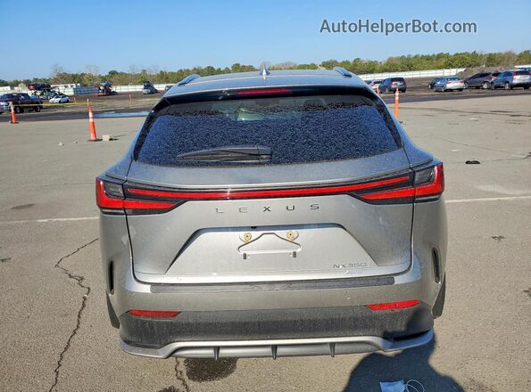 2T2KGCEZ6PC031181 2023 LEXUS NX Silver Հետևի տեսք