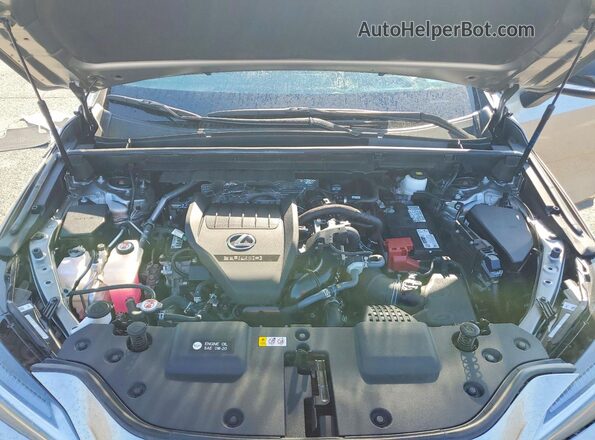 2T2KGCEZ6PC031181 2023 LEXUS NX Silver Շարժիչի բաժամունքի տեսք