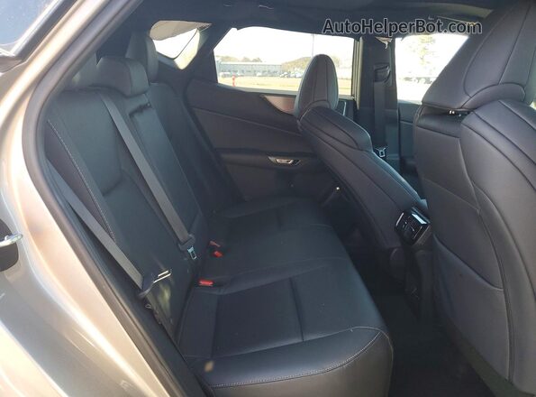 2T2KGCEZ6PC031181 2023 LEXUS NX Silver Սալոնի հետևի տեսք