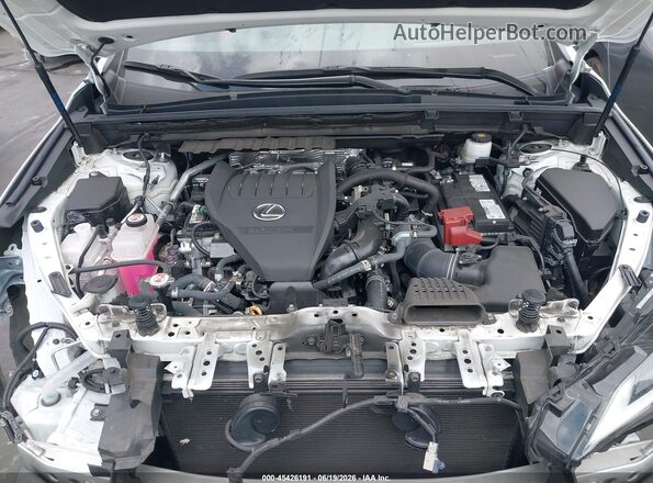 2T2KGCEZ6RC041485 2024 LEXUS NX 350 White Vista trasera