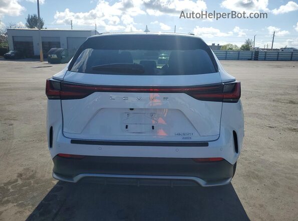 2T2KGCEZXSC088847 2025 LEXUS NX White Rear view