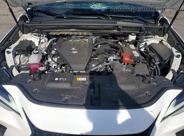 2T2KGCEZXSC088847 2025 LEXUS NX White Rear interior view