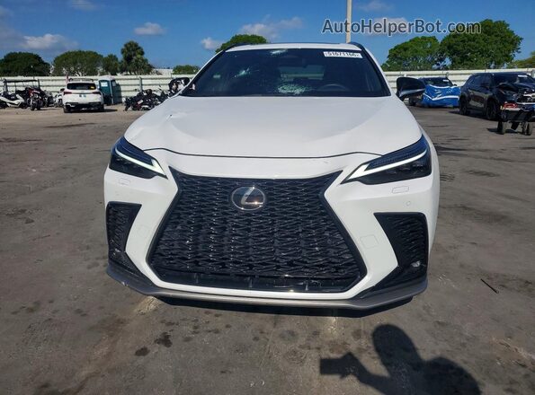 2T2KGCEZXSC088847 2025 LEXUS NX White Front view
