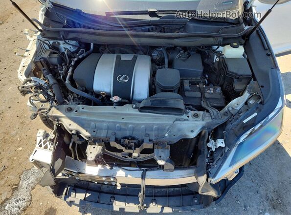 2T2YZMDA9MC261265 2021 LEXUS RX White 