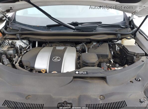 2T2ZZMCA0KC121155 2019 LEXUS RX 350 Белый Вид сзади