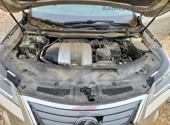 2T2ZZMCA4GC019199 2016 LEXUS RX Tan Սալոնի հետևի տեսք