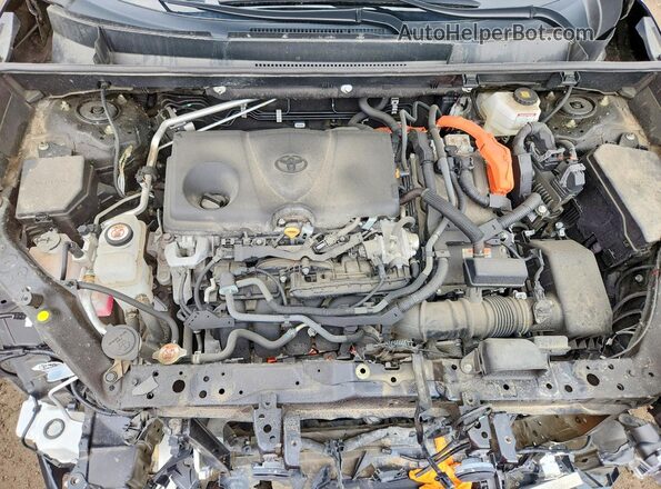 2T34WRFV2RW226931 2024 TOYOTA RAV4 Black Rear interior view