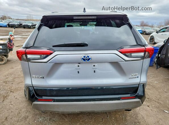 2T35WRFV6RW215287 2024 TOYOTA RAV4 Silver Вид ззаду