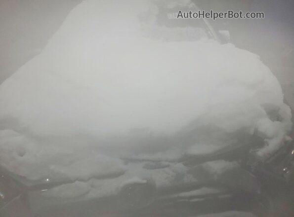 2T3A1RFV0KW056432 2019 TOYOTA RAV4 Серый Вид подкапотного пространства