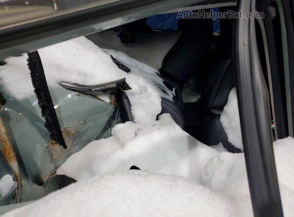 2T3A1RFV0KW056432 2019 TOYOTA RAV4 Серый Вид задней части салона