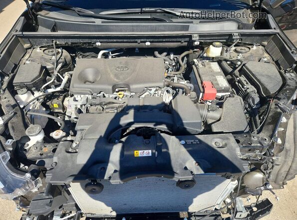 2T3A1RFV3RW489589 2024 TOYOTA RAV4 Black 
