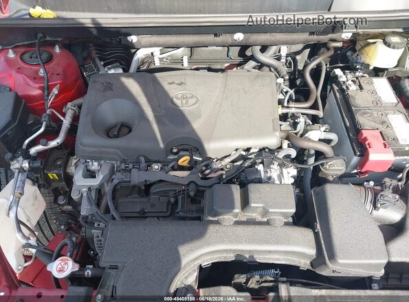 2T3A1RFV3SW565317 2025 TOYOTA RAV4 Champagne Rear view