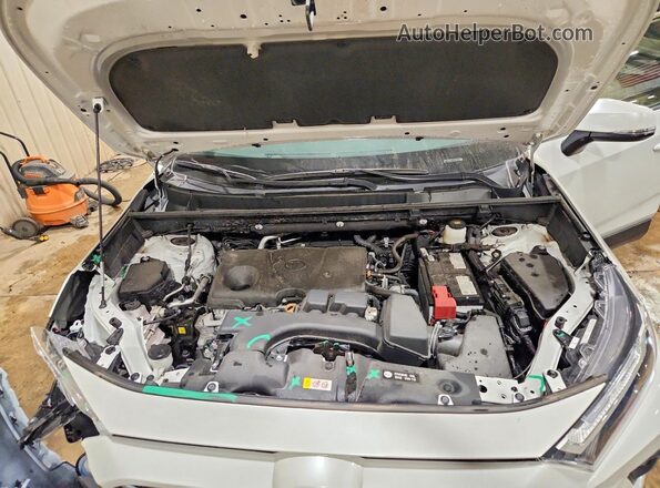 2T3A1RFV4RW495482 2024 TOYOTA RAV4 White 