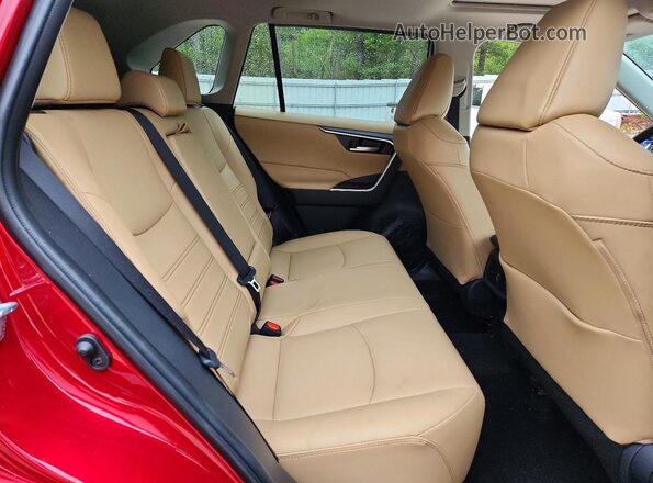 2T3A1RFV4SW506941 2025 TOYOTA RAV4 Red Вид задніх сидінь