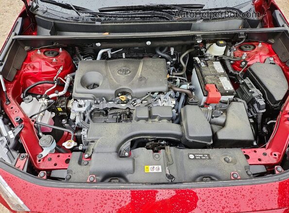2T3A1RFV4SW506941 2025 TOYOTA RAV4 Red Вид задньої частини салону