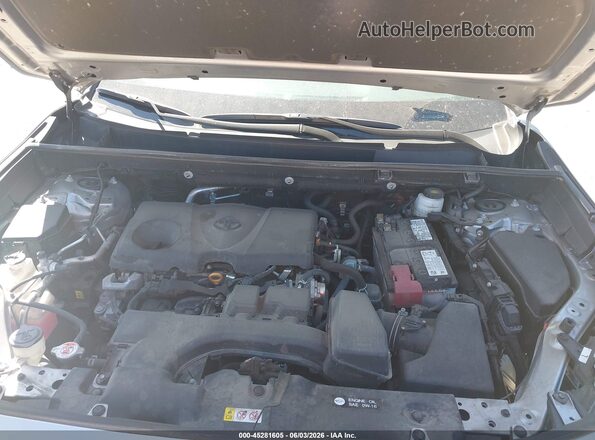 2T3A1RFV6SC557570 2025 TOYOTA RAV4 Silver Вид ззаду