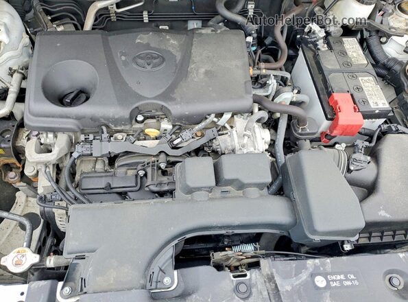 2T3B1RFV3PC352347 2023 TOYOTA RAV4 White 
