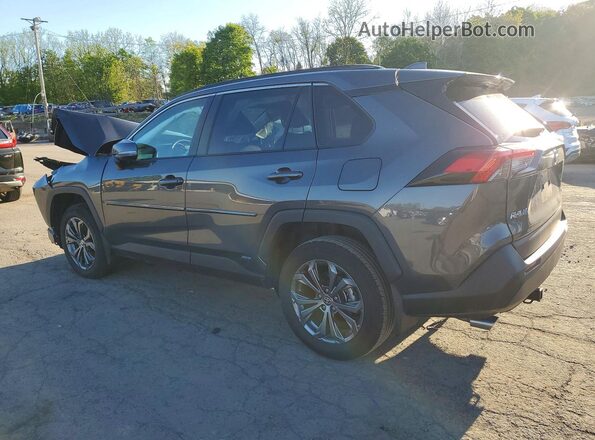 2T3B6RFV1RW065382 2024 TOYOTA RAV4 Gray 