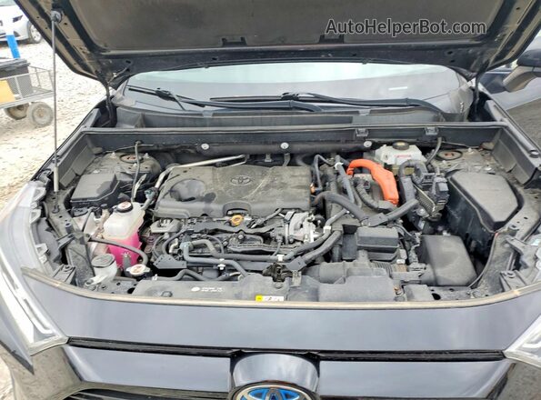 2T3B6RFV2MW019939 2021 TOYOTA RAV4 Charcoal Սալոնի հետևի տեսք