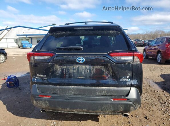 2T3B6RFV3PW043462 2023 TOYOTA RAV4 Black 