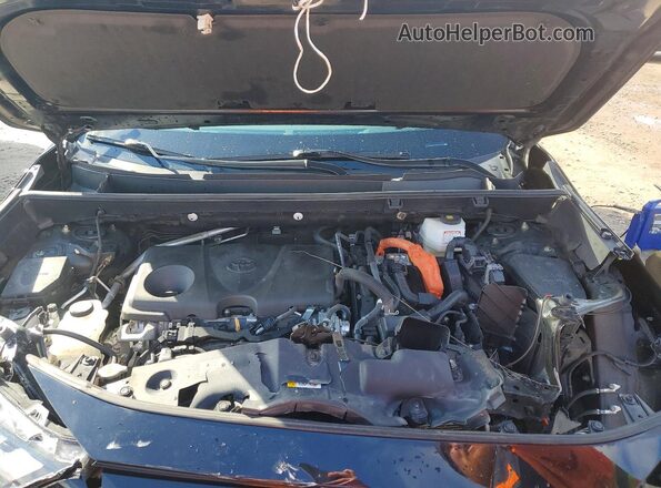 2T3B6RFV3PW043462 2023 TOYOTA RAV4 Black 