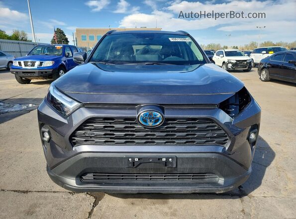 2T3B6RFV6RW062817 2024 TOYOTA RAV4 Серый Вид спереди