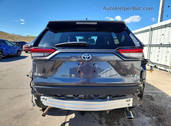 2T3B6RFV6RW062817 2024 TOYOTA RAV4 Серый Вид сзади
