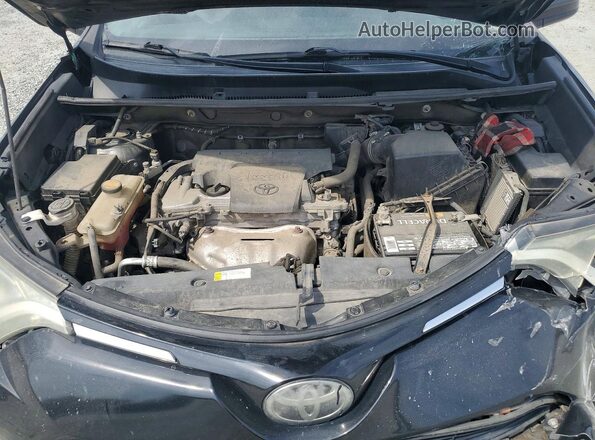 2T3BFREV0HW600556 2017 TOYOTA RAV4 Black უკანა სალონის ხედი