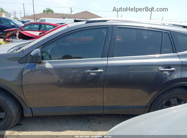 2T3BFREV1GW500061 2016 TOYOTA RAV4 Серый Панорамный вид салона 360°