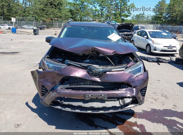 2T3BFREV2JW828239 2018 TOYOTA RAV4 Бордовый Вид спереди
