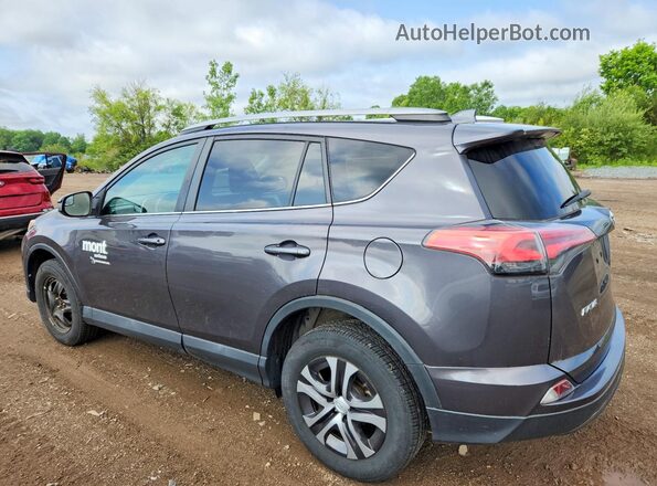 2T3BFREV3HW626259 2017 TOYOTA RAV4 Gray Հետևի ձախ