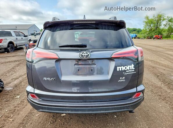 2T3BFREV3HW626259 2017 TOYOTA RAV4 Gray Հետևի տեսք