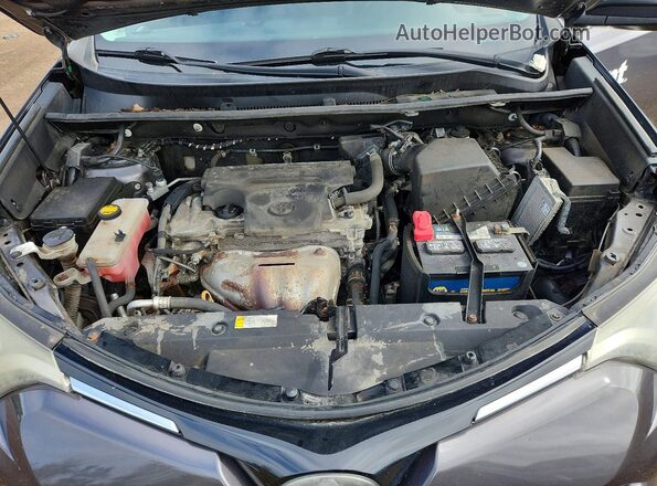 2T3BFREV3HW626259 2017 TOYOTA RAV4 Gray Սալոնի հետևի տեսք