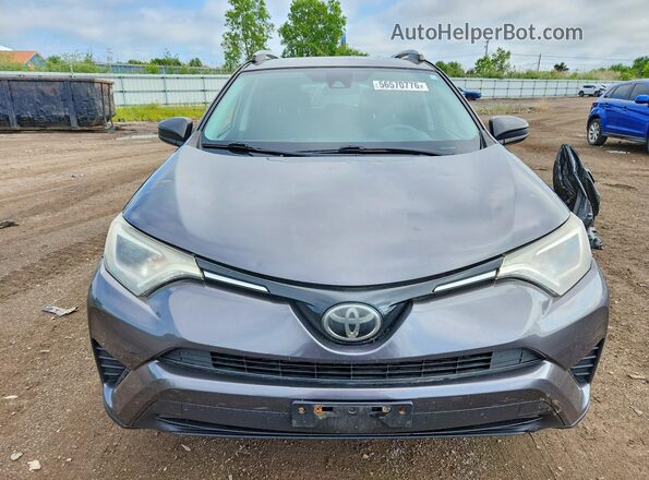 2T3BFREV3HW626259 2017 TOYOTA RAV4 Gray Դիմացի տեսք