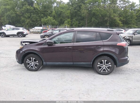 2T3BFREV4HW612015 2017 TOYOTA RAV4 Purple Панорамний вид салону 360°