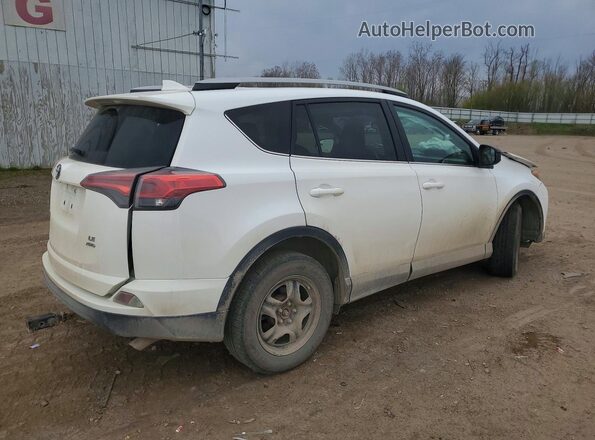 2T3BFREV6HW619449 2017 TOYOTA RAV4 White Tył prawy
