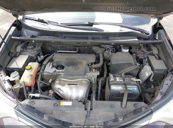 2T3BFREV8JW802762 2018 TOYOTA RAV4 Фиолетовый Вид сзади