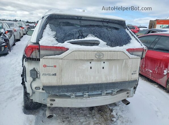 2T3BWRFV1SW287409 2025 TOYOTA RAV4 White Հետևի տեսք