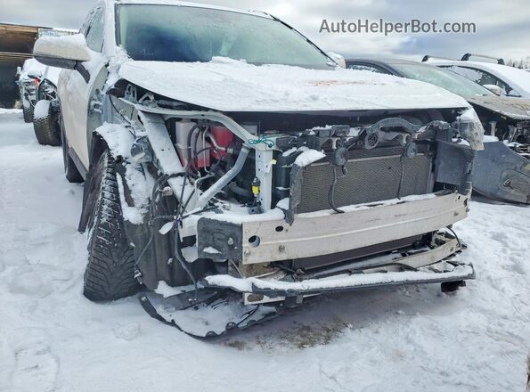 2T3BWRFV1SW287409 2025 TOYOTA RAV4 White VIN կոդի պիտակի տեսք