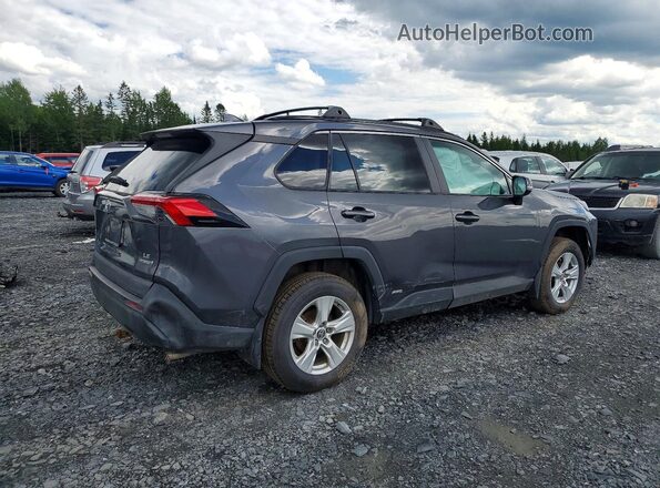 2T3BWRFV4KW021981 2019 TOYOTA RAV4 Charcoal Հետևի աջ