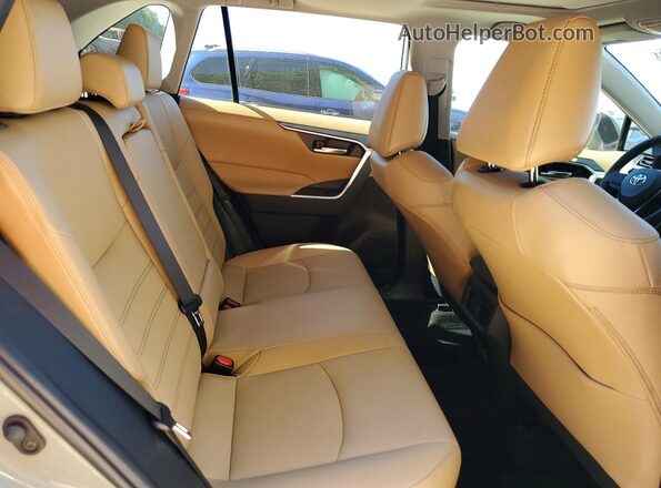 2T3C1RFV0PW262186 2023 TOYOTA RAV4 Gray Rear interior view