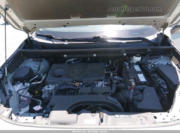 2T3C1RFV3MC088109 2021 TOYOTA RAV4 Gray Вид ззаду