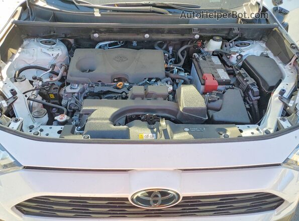 2T3C1RFV3SW384680 2025 TOYOTA RAV4 Белый 